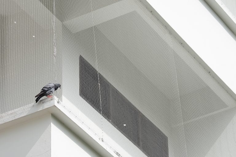Ochranné sítě proti holubům