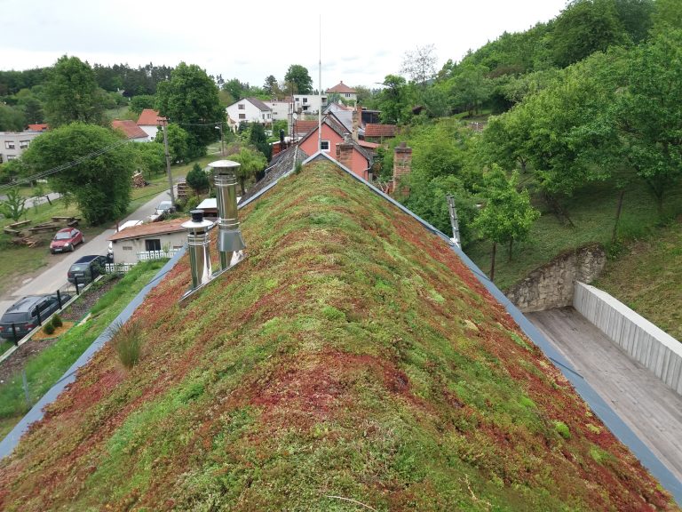 Ukázka realizace šikmé zelené střechy se sklonem 35° na rodinném domě