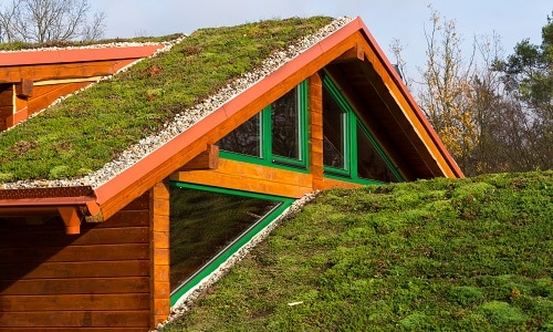 Green,Ecological,Sod,Roof,On,Wooden,Building,Covered,With,Vegetation